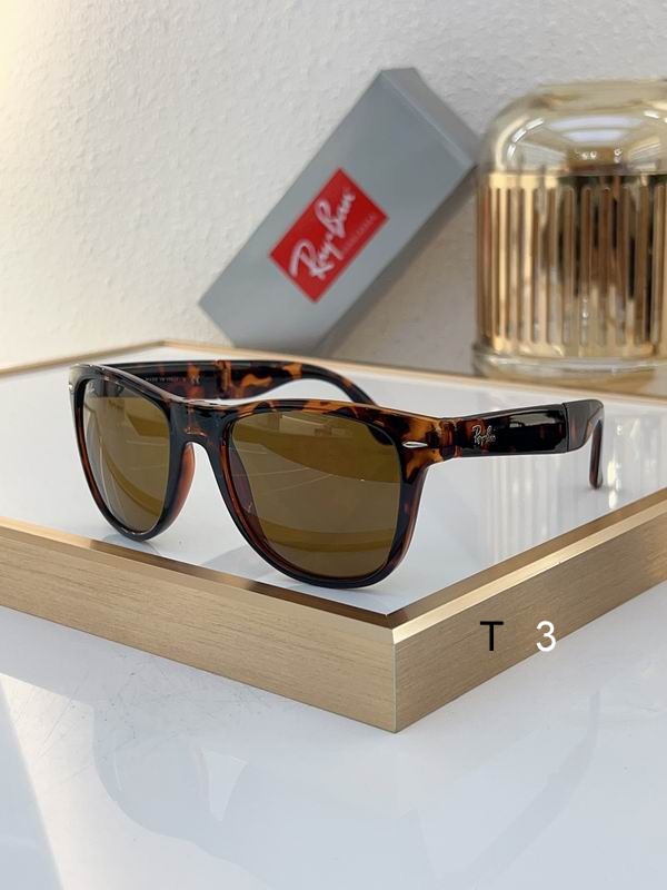 RayBan Sunglasses ID:20240804-369